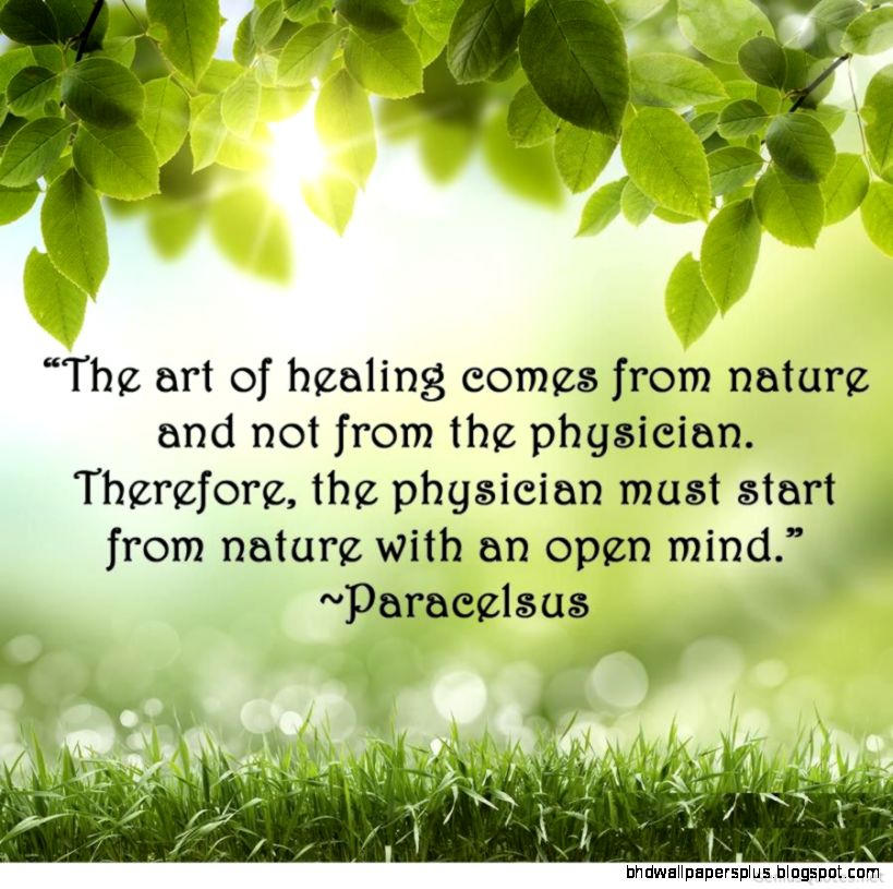 Art And Nature Quotes QuotesGram Art And Nature Quotes QuotesGram