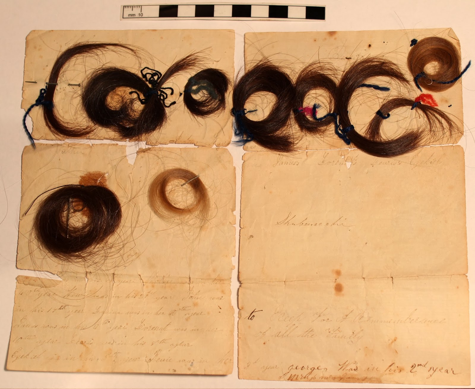 Kelly's Conservation Corner Locks of Hair December 10, 2013