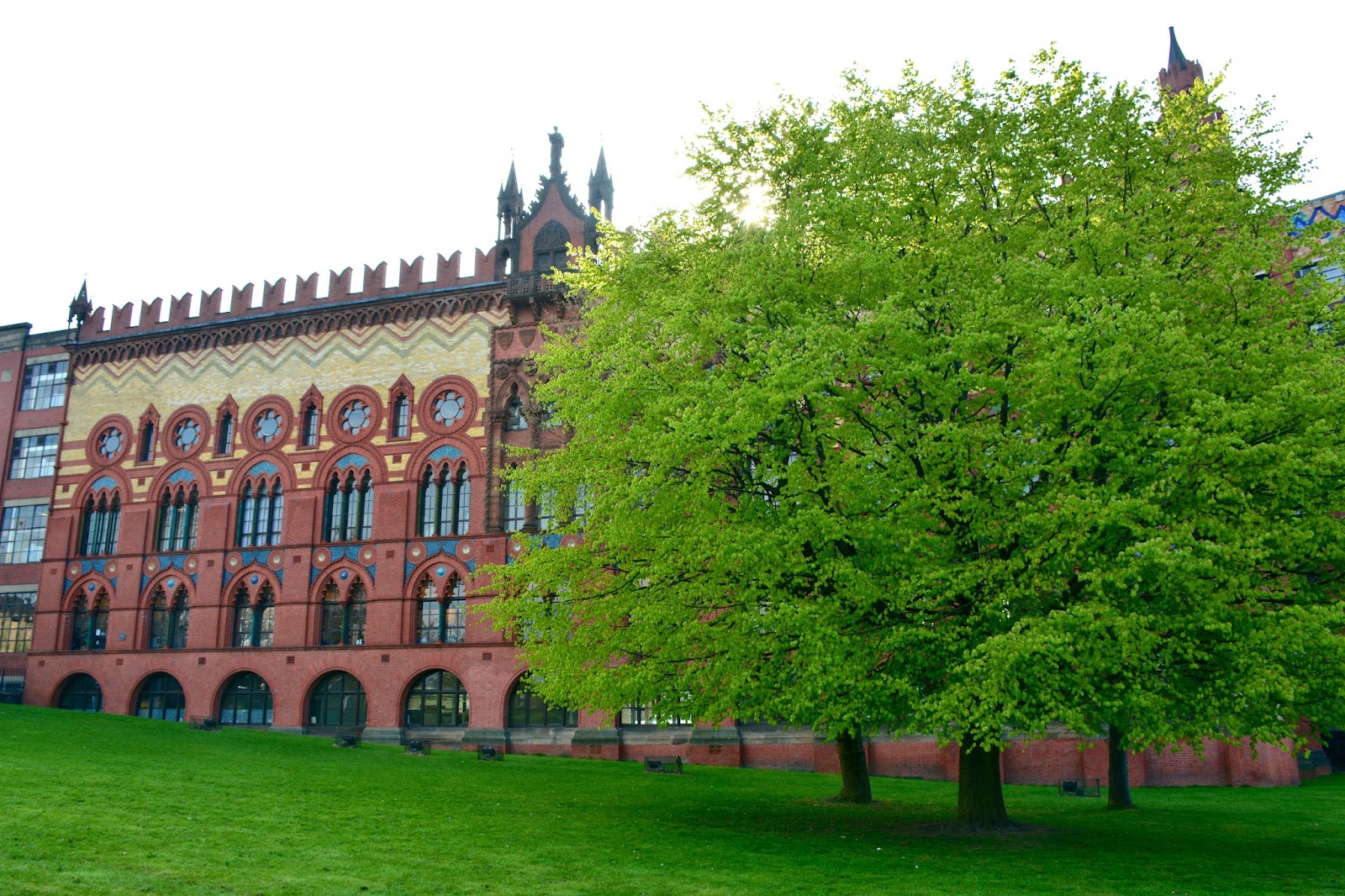 Trees blooming in front of the Templeton Carpet Factory