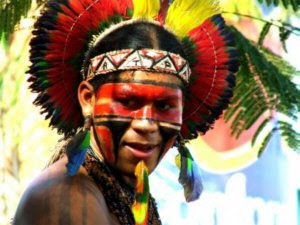 Indios Brasileiros