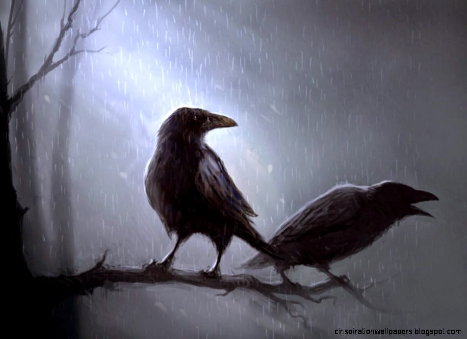 Pix For gt Evil Crows Wallpaper Pix For gt Evil Crows Wallpaper