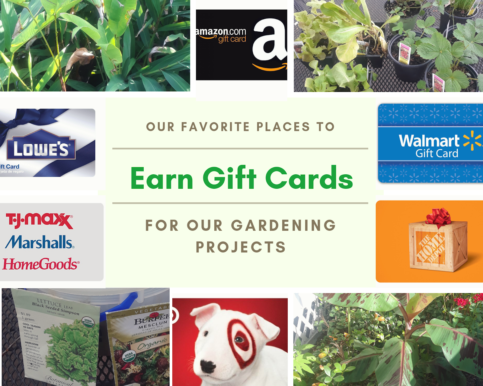 The Aldi Spot Helping You Save Aldi Product Review Belmont Mint Chocolate Chip Ice Cream