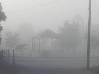 ¿Habías visto tanta neblina en Tónichi a las 7:50 A. M.?
