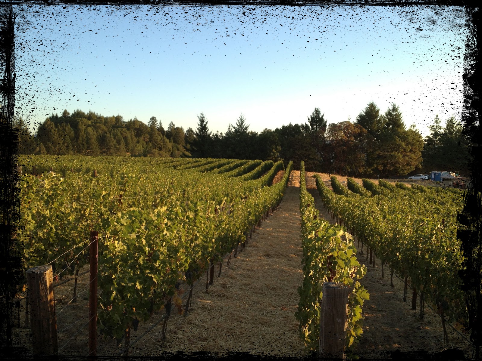 Napa Valley Weather In Mid October