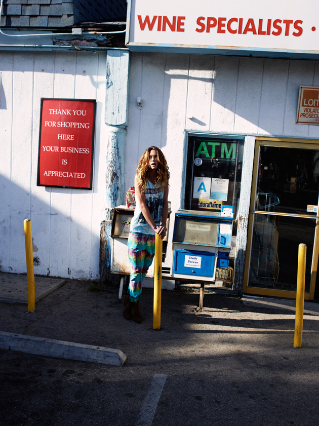 the Electric Erin by the Shore