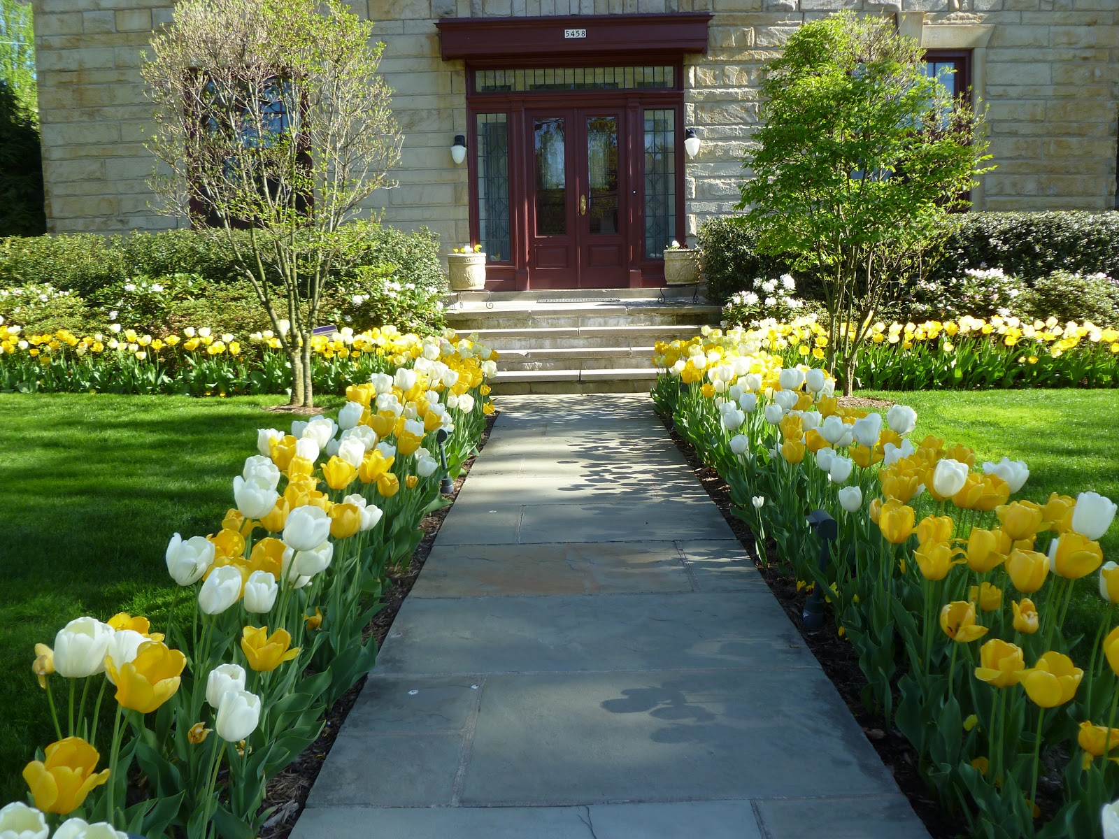 Houses For Sale Tulip Way Leekbrook at Pedro Sowell blog