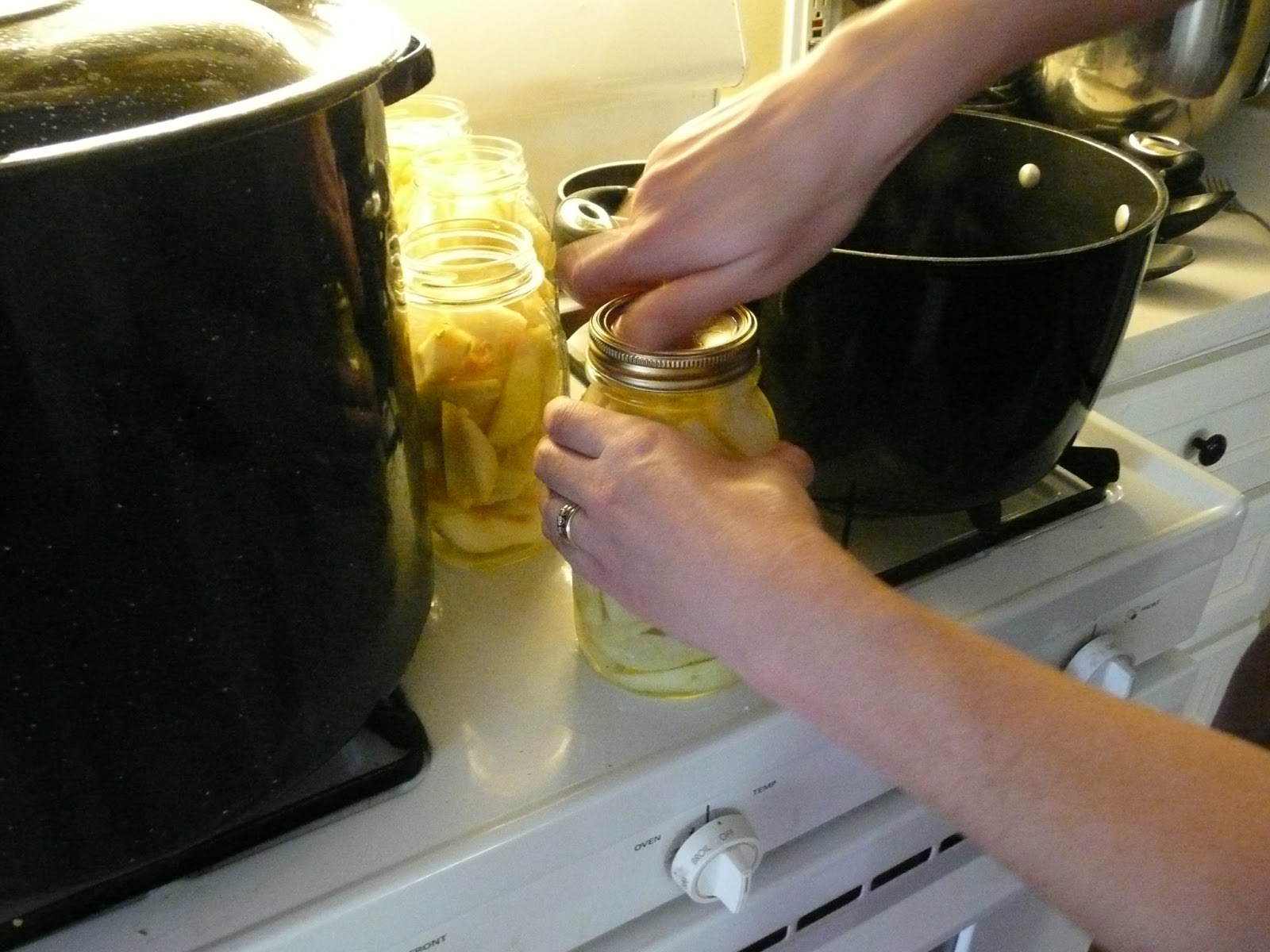 k'leena creates Canning 101 Boiling Water Bath Method