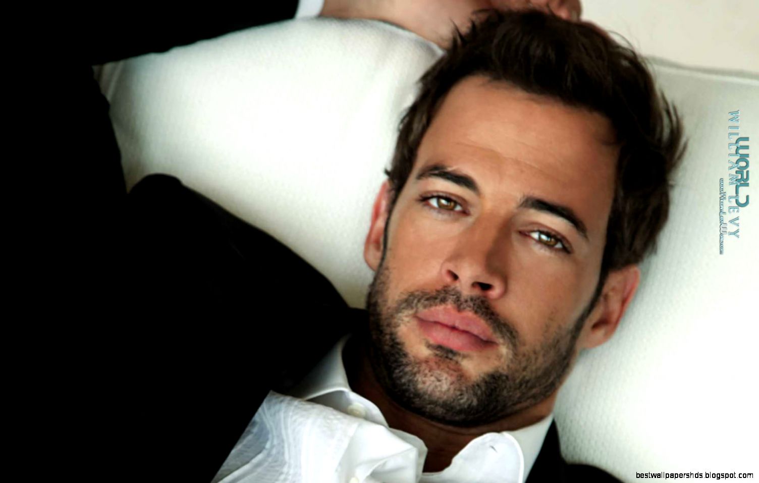 william levy Google Search Dpics Pinterest william levy Google Search Dpics Pinterest