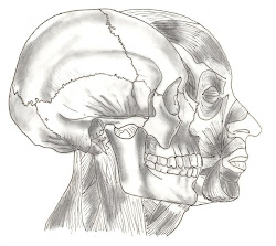 CUADERNO DIDÁCTICO DE ANATOMÍA HUMANA