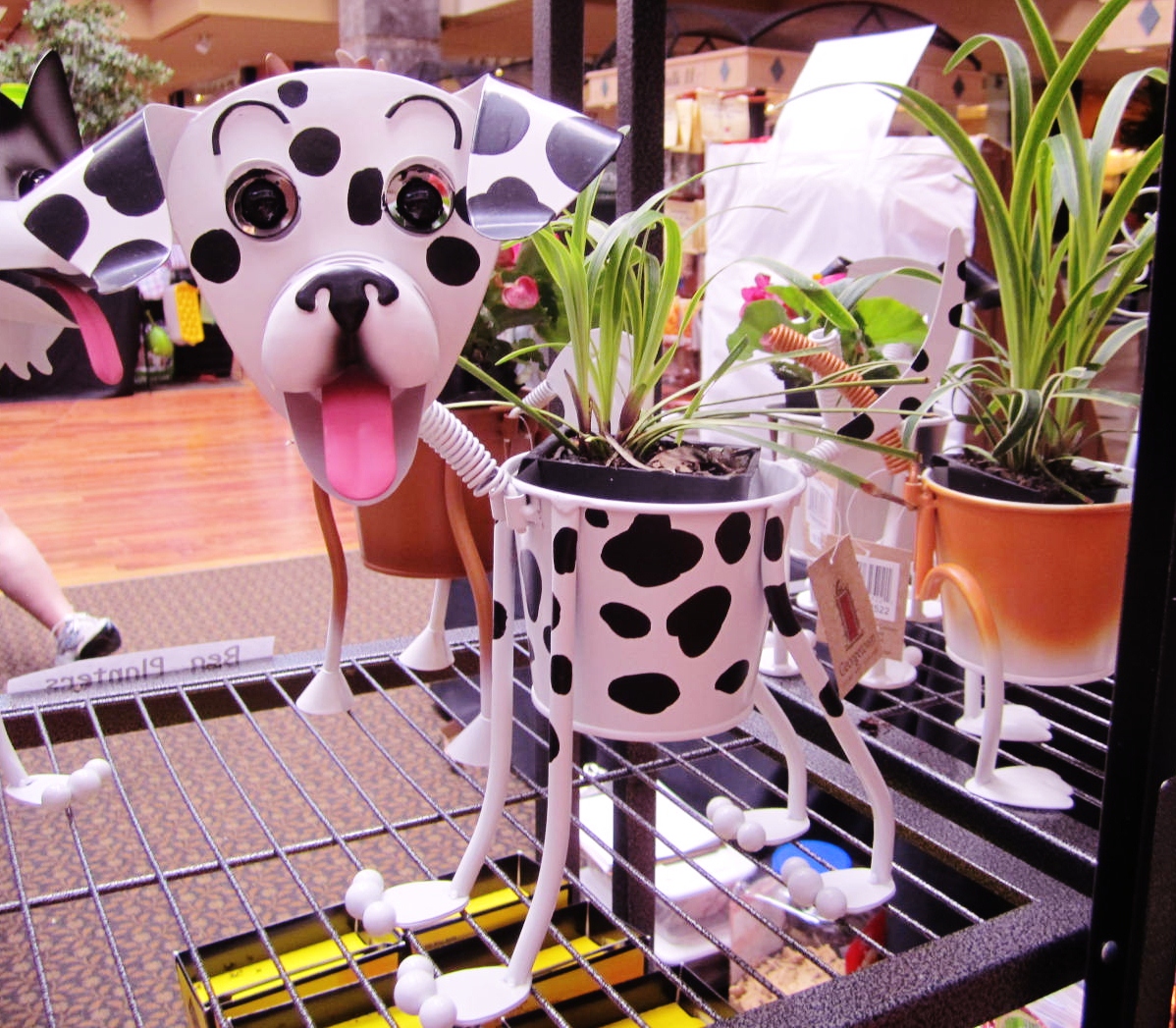 My Enchanted Home Road trip to South Carolina