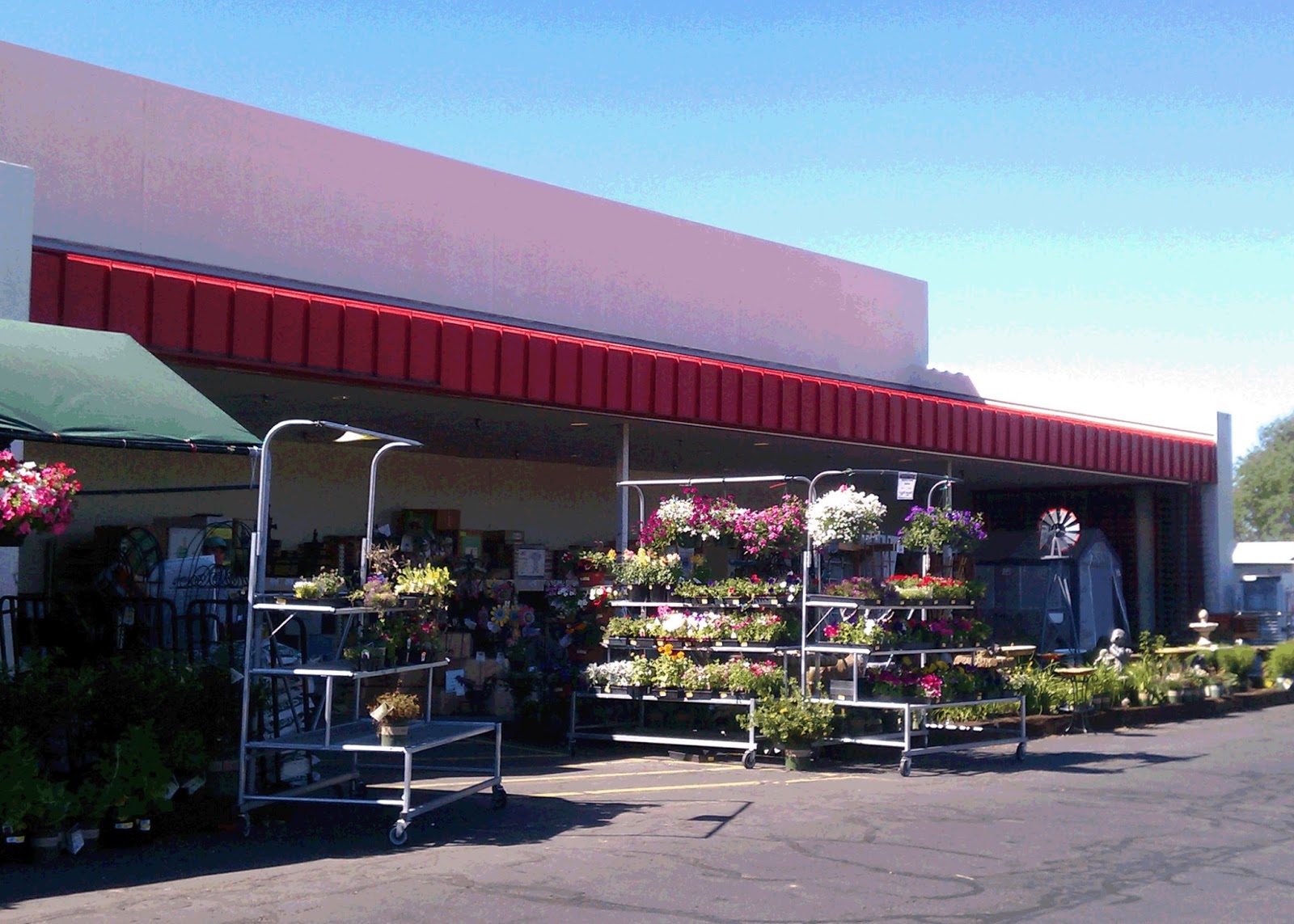 eden by the bay back to the feed store eden by the bay back to the feed store