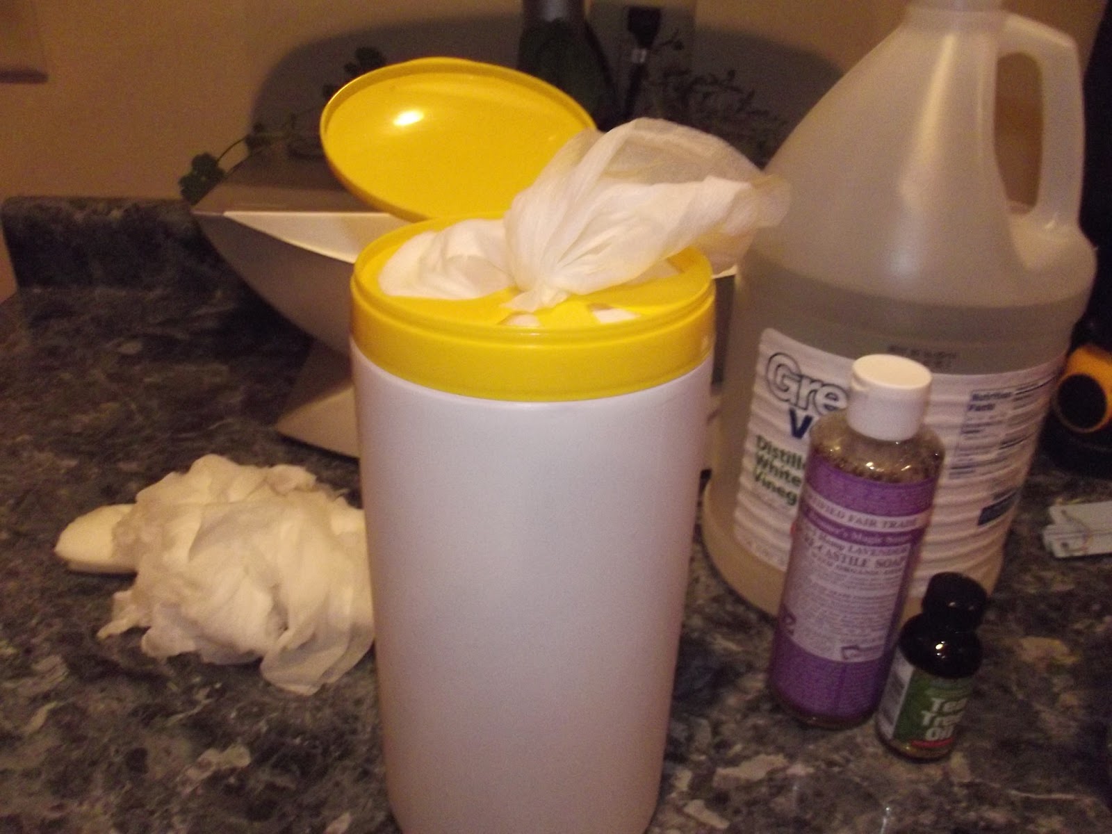 Do It Yourself Ditders DIY disinfecting wipes
