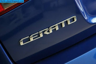 Kia cerato car 2013 logo - صور شعار سيارة كيا سيراتو 2013 Kia cerato car 2013 logo - صور شعار سيارة كيا سيراتو 2013