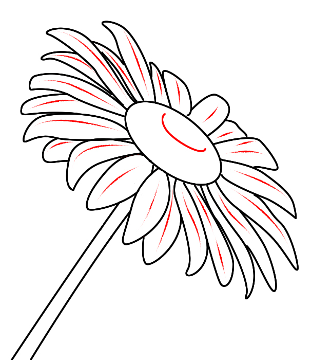 How To Draw A Daisy - Draw Central