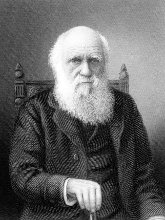 charles darwin charles darwin