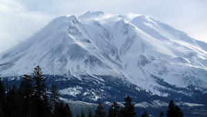 Mt.Shasta Retreats