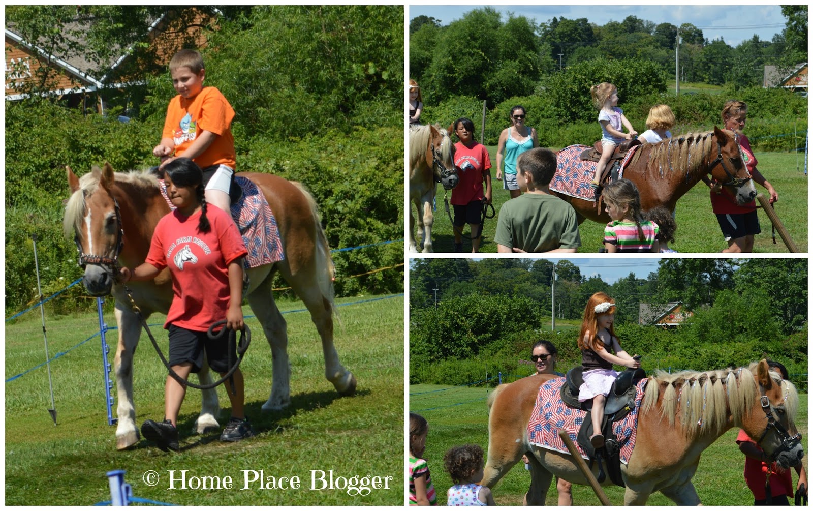 Home Place PeachFest at Lyman Orchards