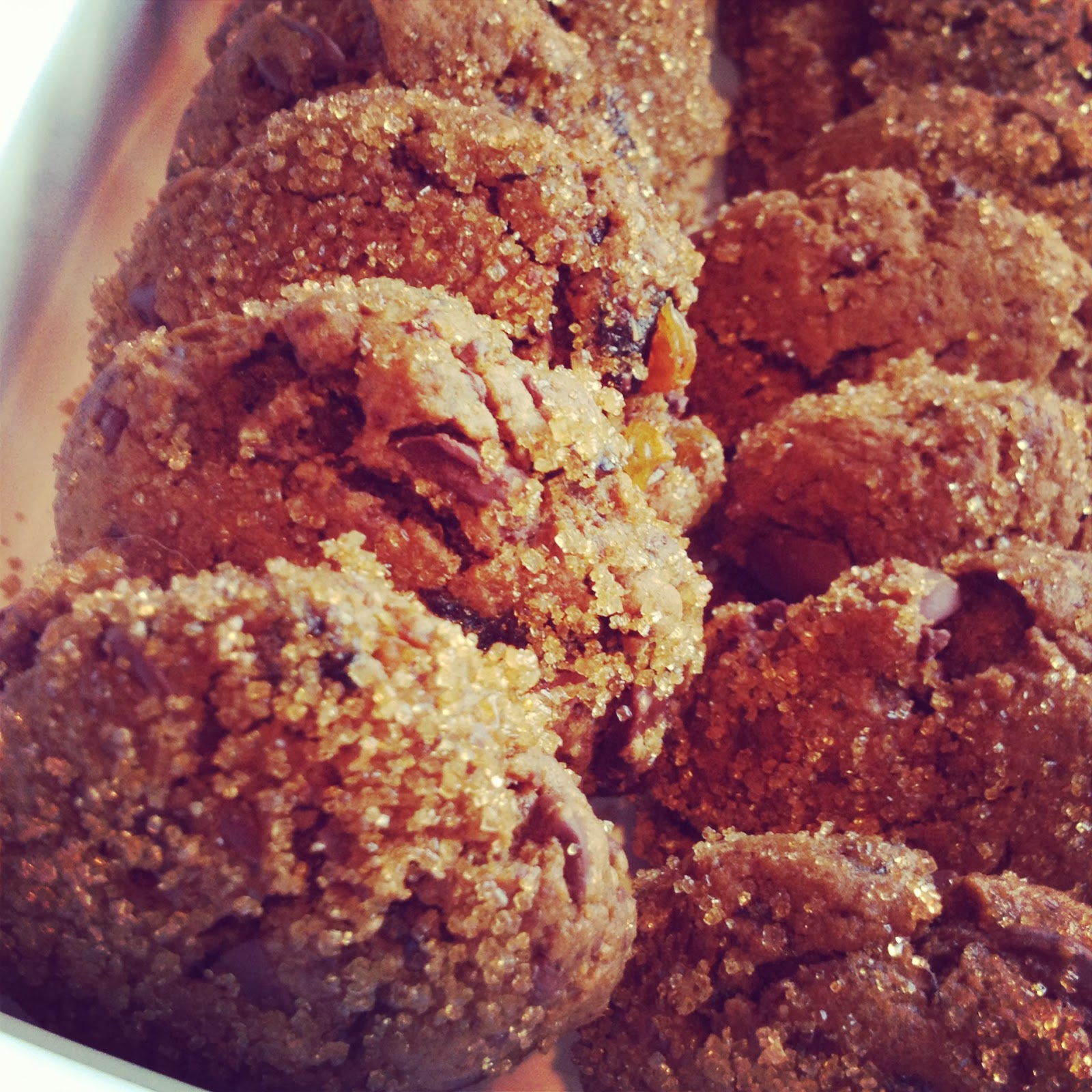 foodrefuge Whole Wheat Ginger Chocolate Hermit Cookies