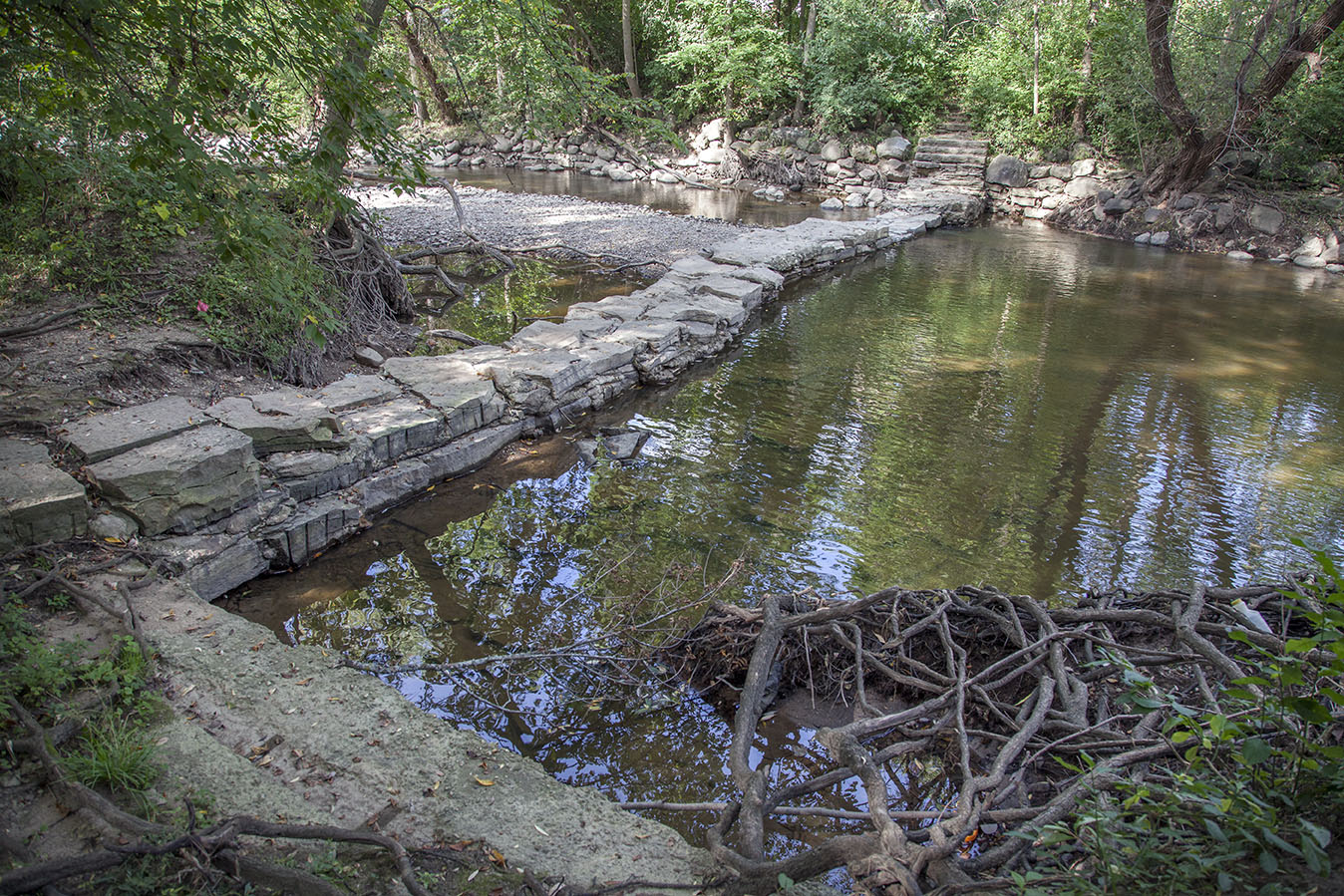 Stream revitalization image