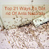 Top 21 Ways To Get rid Of Ants Naturally