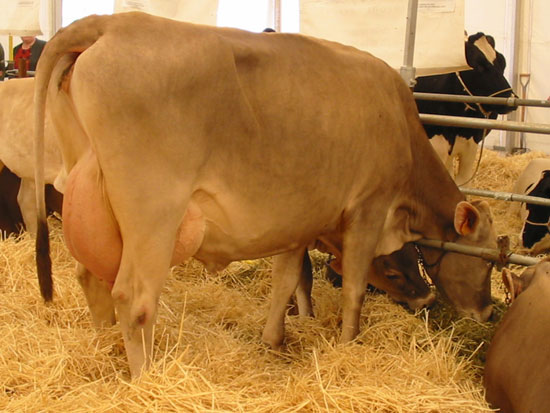 30 Under 30 2018 - Forbes India Magazine