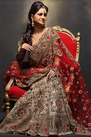 Here we present wide variety of special wedding sarees Indian sarees