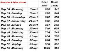 Gewichten tabel 4- (2 Kittens van Rylee)