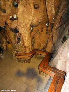 Pohon Baobab, Tampak Seperti Pohon Terbalik