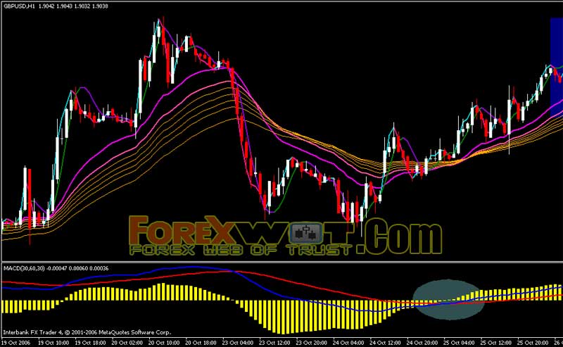 forex 400 pips a month