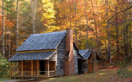 Old Time Cures From The Shenandoah Valley And Mountains Article