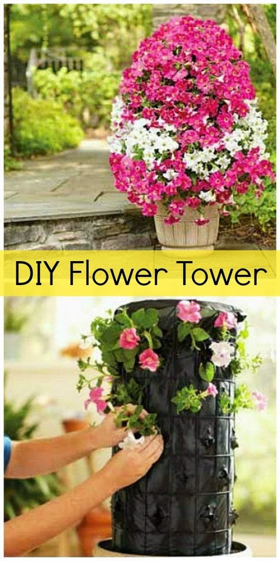 Gardenery Dreaming Gardens