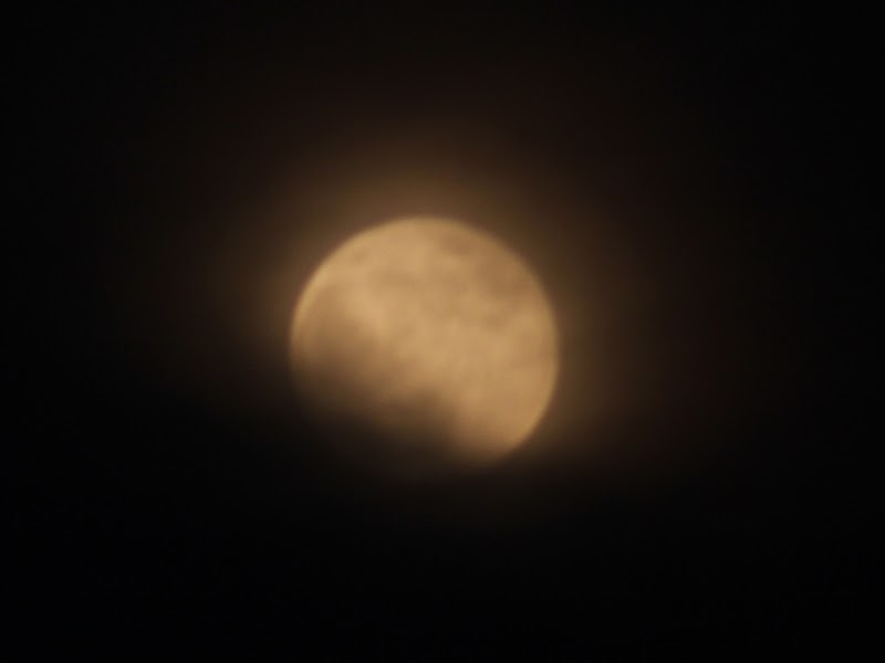 astronamy