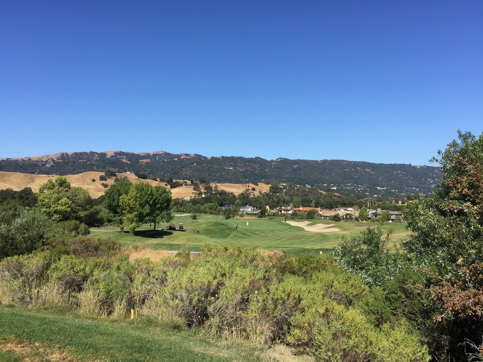 TASTE OF HAWAII CALLIPPE PRESERVE GOLF COURSE