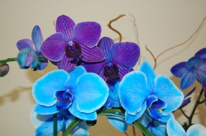 Blue Mystique