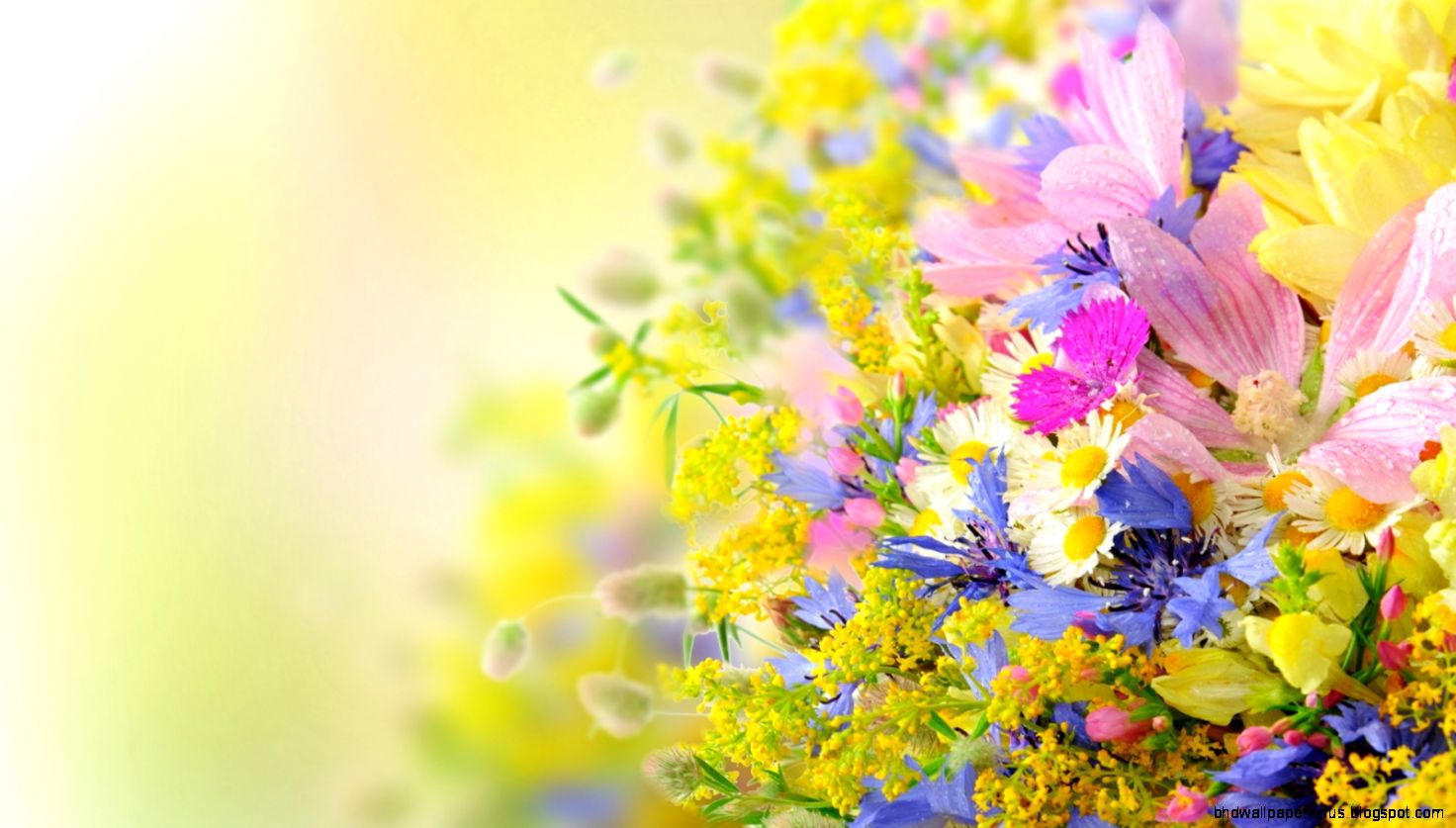 Most Beautiful Summer Flowers in Season Flower Meanings Most Beautiful Summer Flowers in Season Flower Meanings