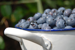 Blueberries