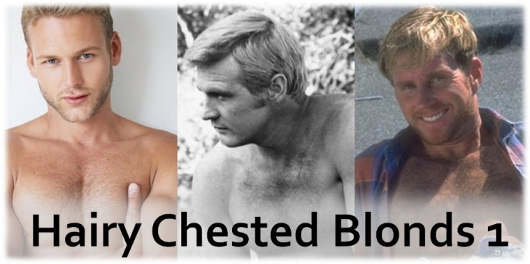 blond hairy chested men photos not nude Blond hairy chested men photos not nude