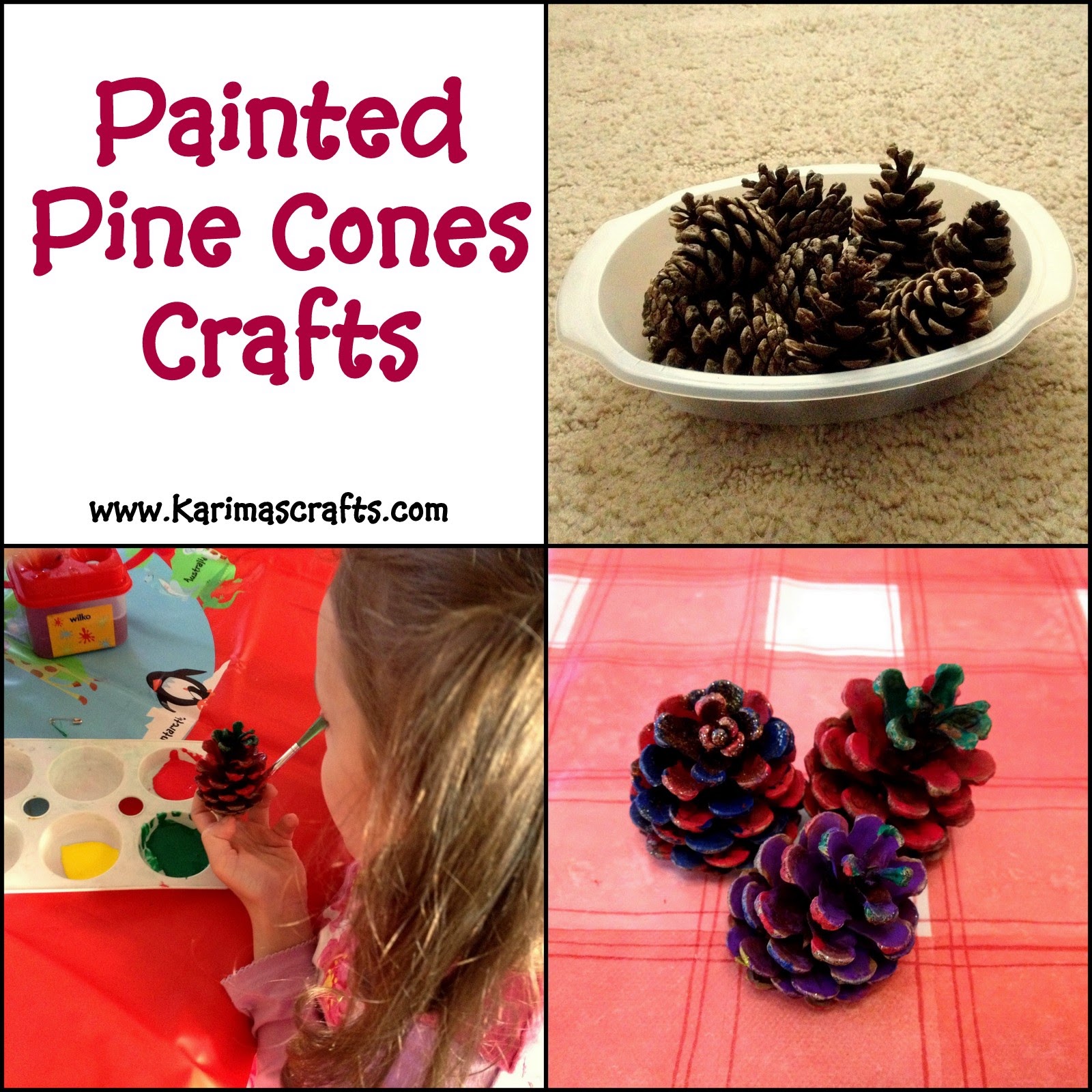 painted pine cones crafts 