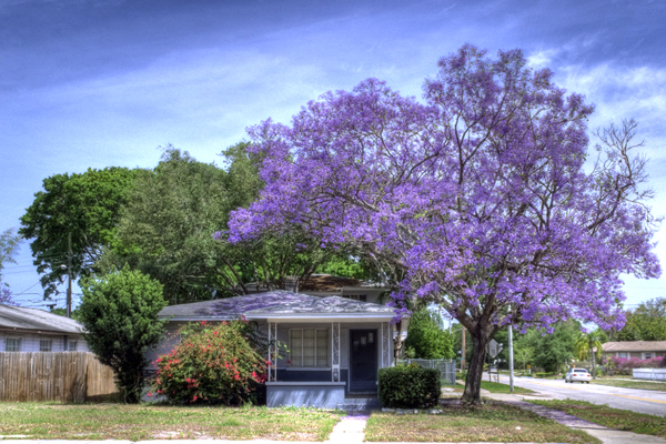 [Image: namphimuaphuongtim-3.jpg]