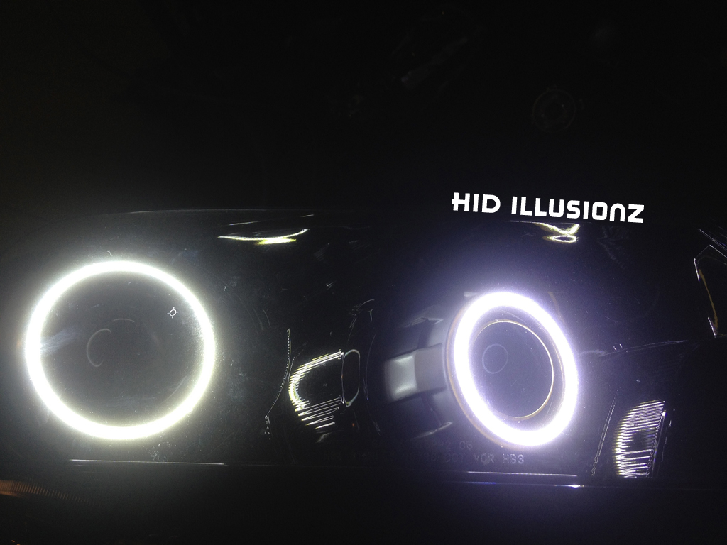 HID ILLUSIONZ Honda Accord Morimoto Mini H1 LED Angel Eyes Quad Setup