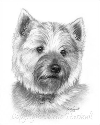 Cairn Terrier Dog Portrait in Pencil by Colette Theriault