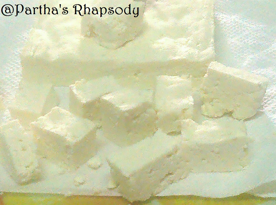 Partha S Rhapsody Homemade Paneer Indian Cottage Cheese