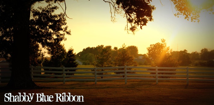 Shabby Blue Ribbon