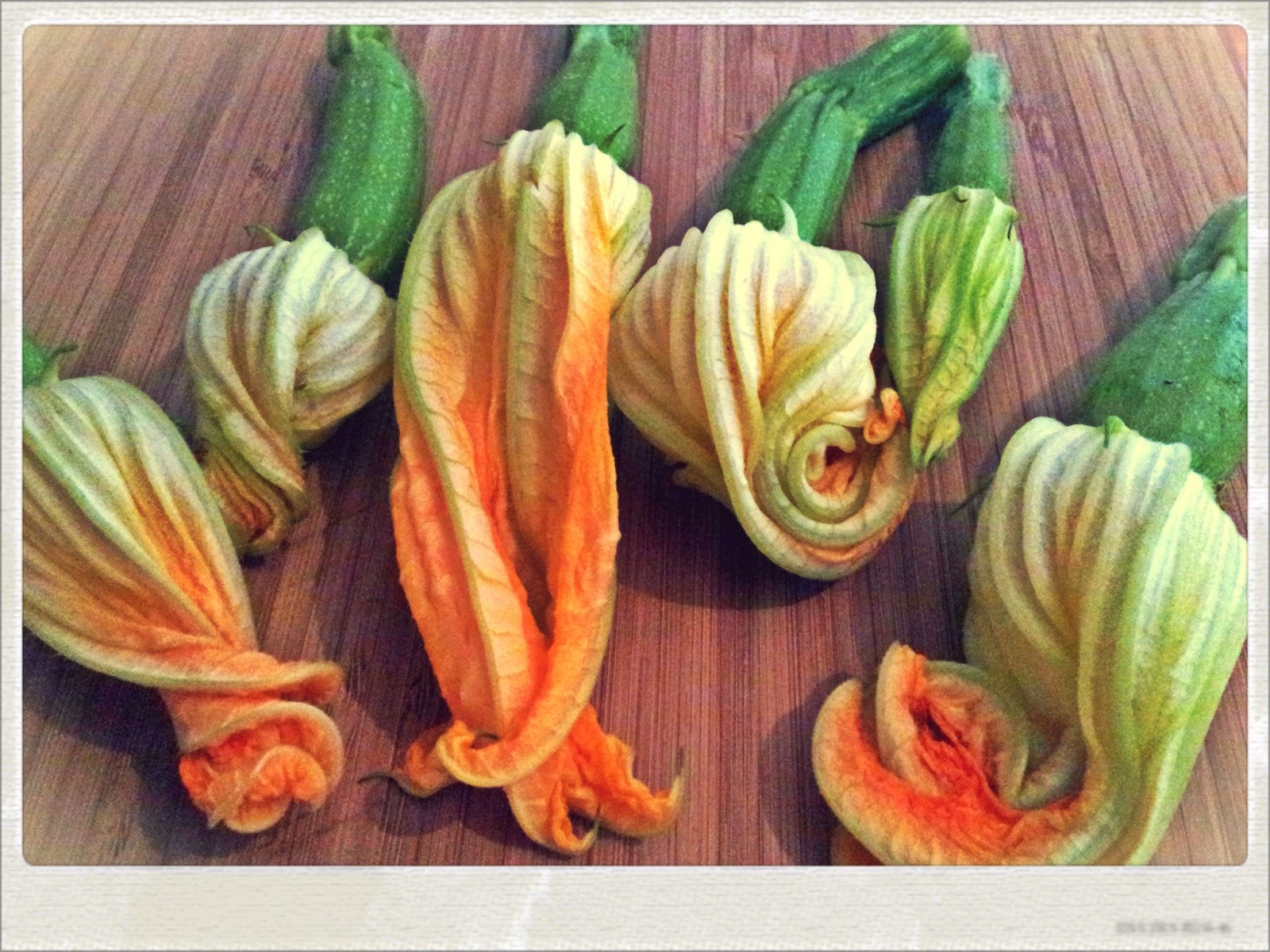 You've Got Meal! Fried RicottaStuffed Zucchini Blossoms