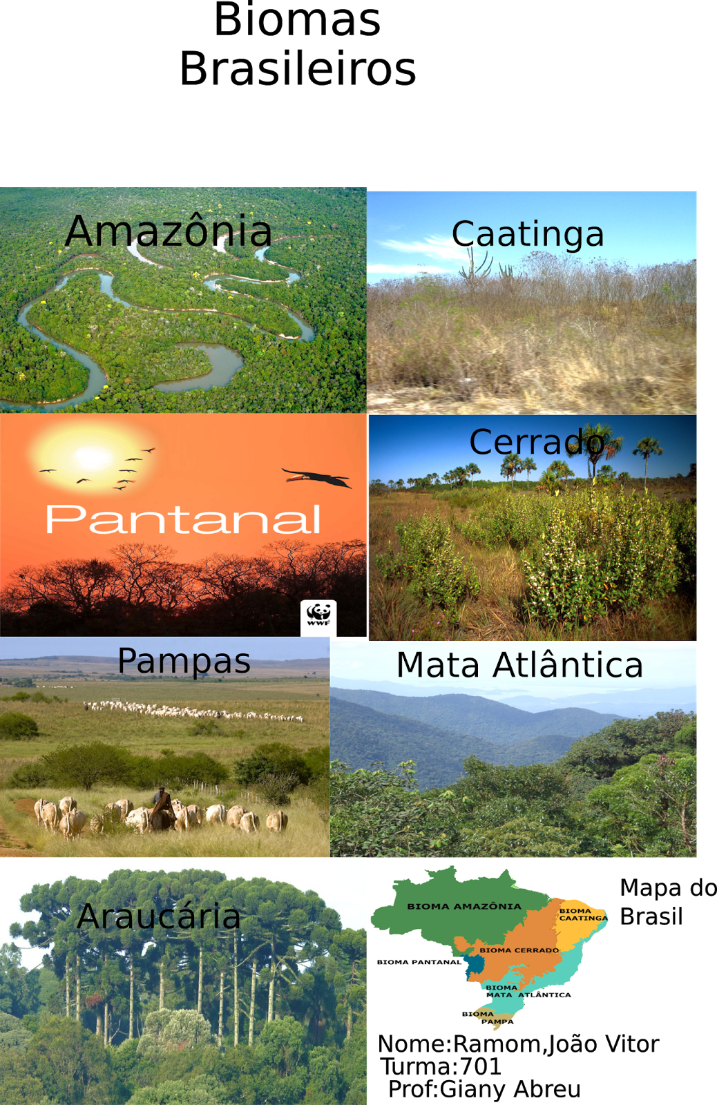 Colégio Estadual Acácia Amarela: Biomas Brasileiros