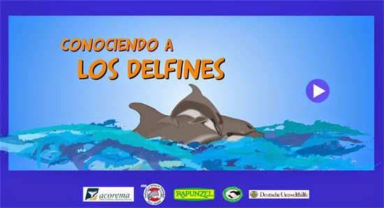 http://www.acorema.org.pe/multimedia/delfinesok.htm