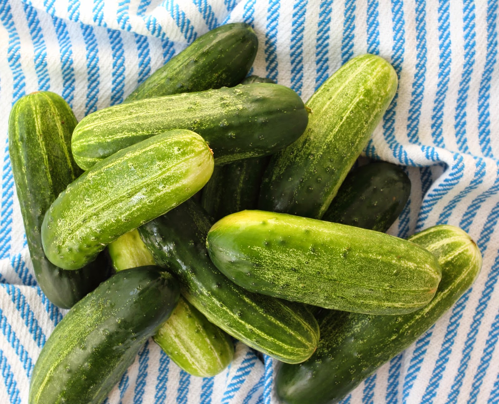 Learning to Eat AllergyFree A Sneak Peek into The AllergyFree Pantry