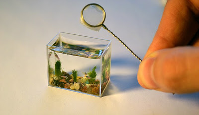 2.jpg (634×367)