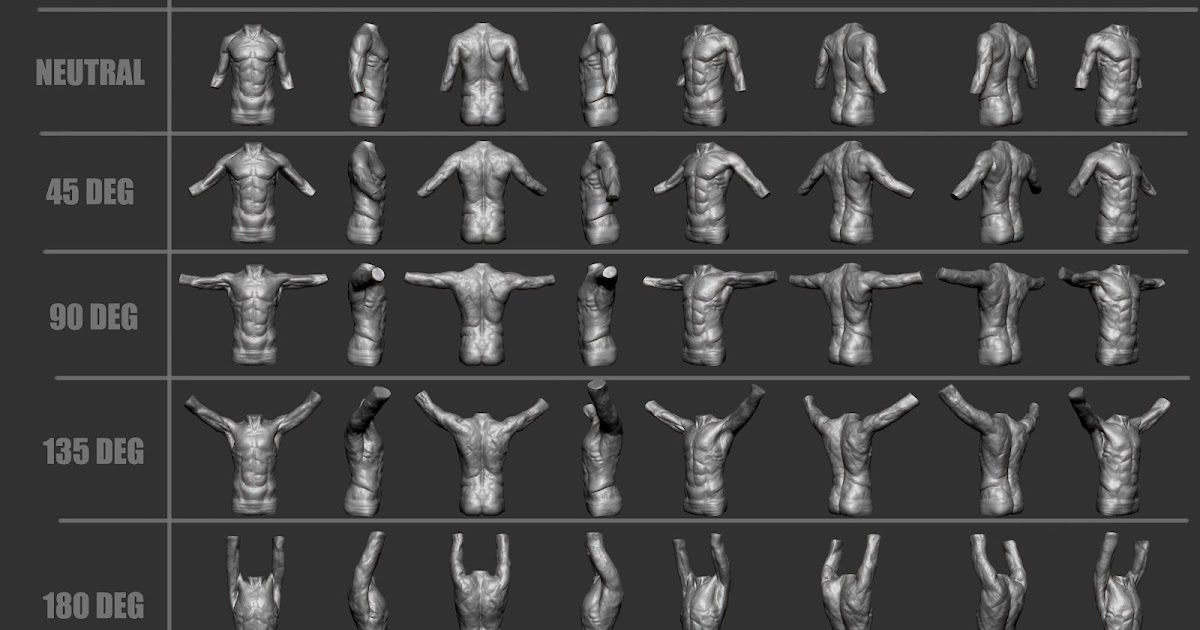 Welcome to Chris' Blog!!: Anatomy Sketches: Shoulder with arm raise