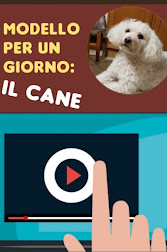 Disegno: il cane!